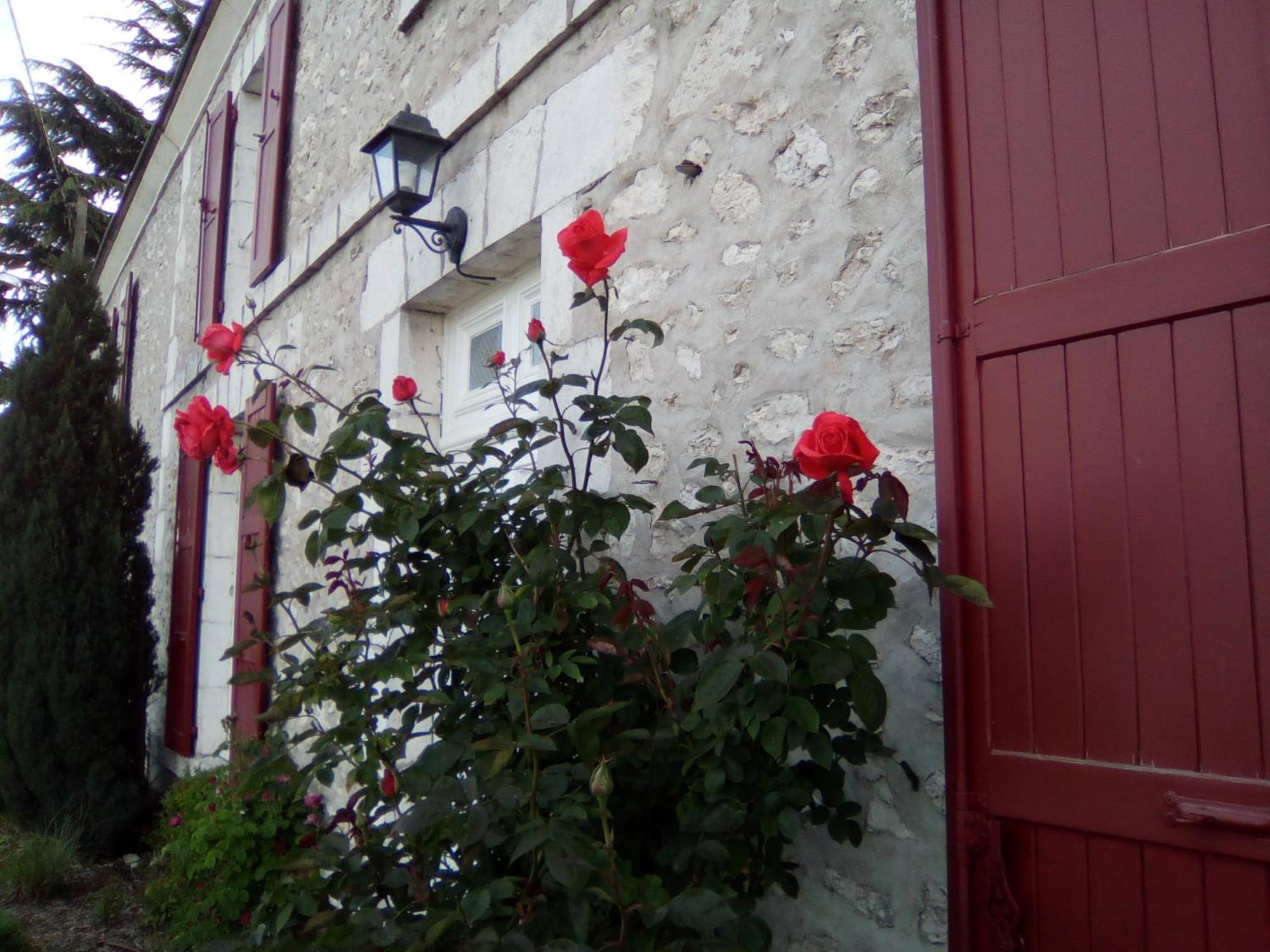 Messas Le Clos De La Vigneronne المظهر الخارجي الصورة